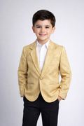 Boys Metallic Gold Textured Thin Blazer