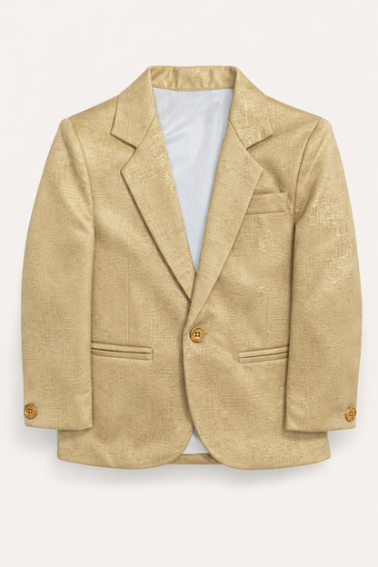 Boys Metallic Gold Textured Thin Blazer