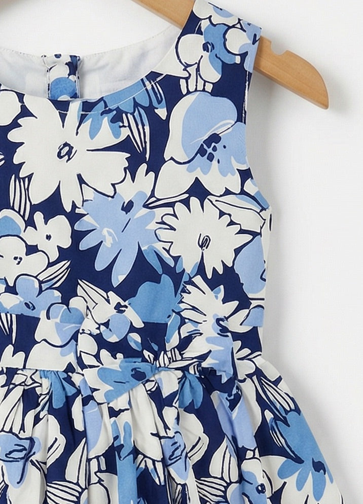 Girls Blue & White Floral Print Dress