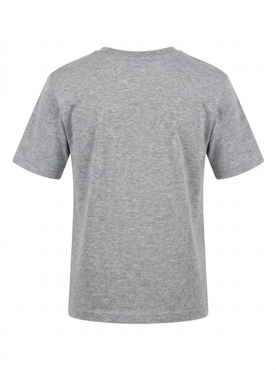 Boys Graphic Printed Drop-Shoulder Cotton T-Shirt - Grey
